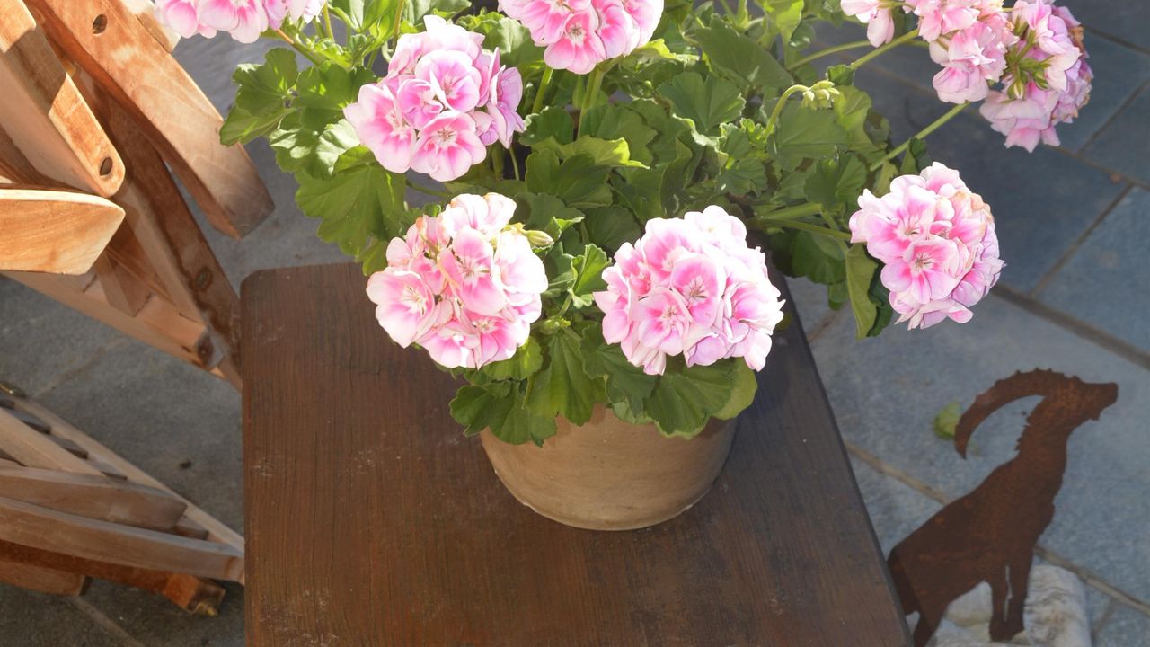 Terasse Enzian Terasse Enzian